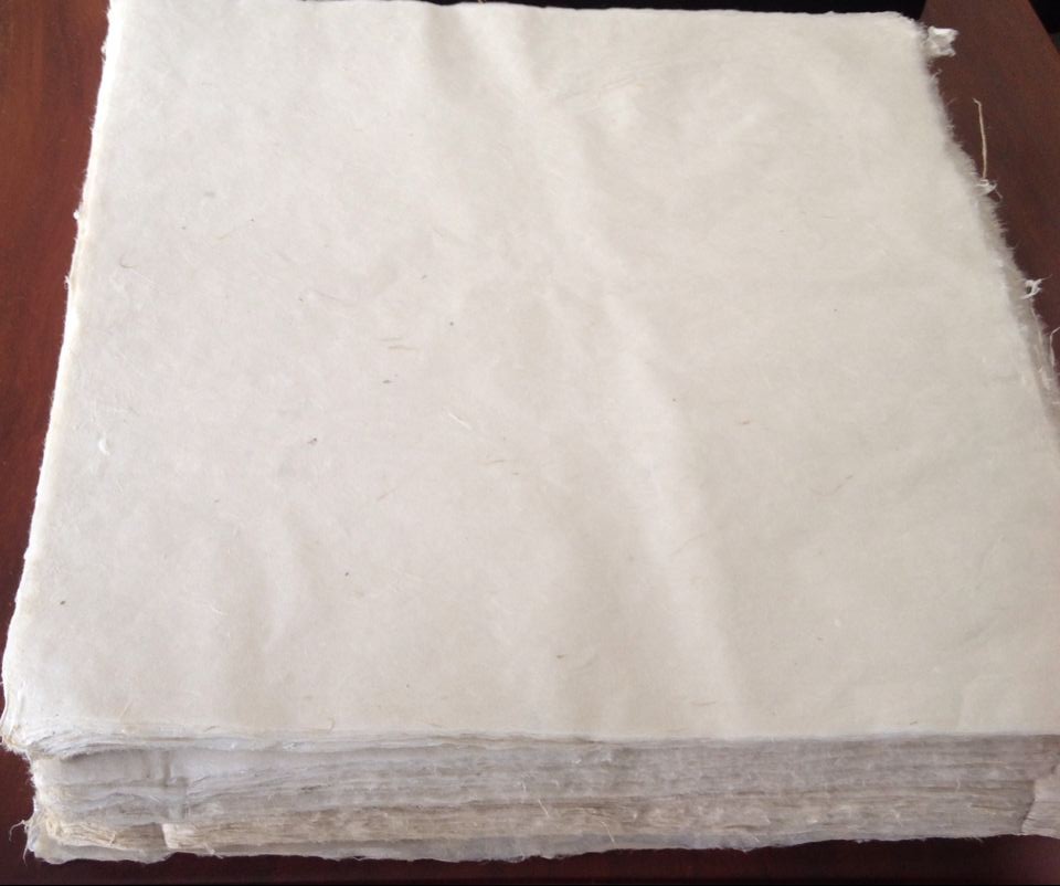 ���ֹ���ֽ